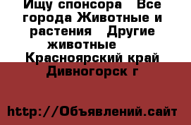 Ищу спонсора - Все города Животные и растения » Другие животные   . Красноярский край,Дивногорск г.